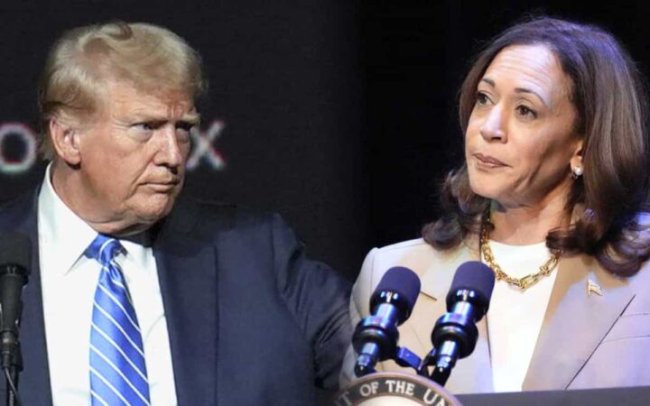 Trump gana en 8 estados y Harris en 5