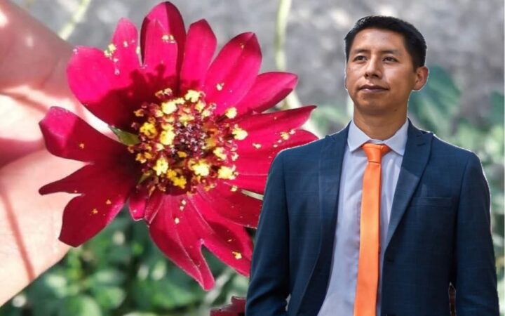 Científico chiapaneco recupera flor que se creía extinta Científico chiapaneco recupera flor que se creía extinta