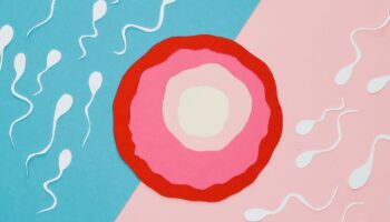 Más de la mitad de las mujeres y un tercio de los hombres temen por su fertilidad: Estudio