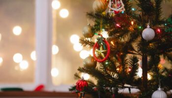 ¿Qué es la Navidad según la Biblia?