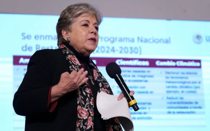 México regresa con una 'posición fuerte' al Foro Económico Mundial: Alicia Bárcena México regresa con una 'posición fuerte' al Foro Económico Mundial: Alicia Bárcena