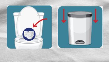 Papel de baño, ¿se tira en la taza o en bote de basura? Profeco explica