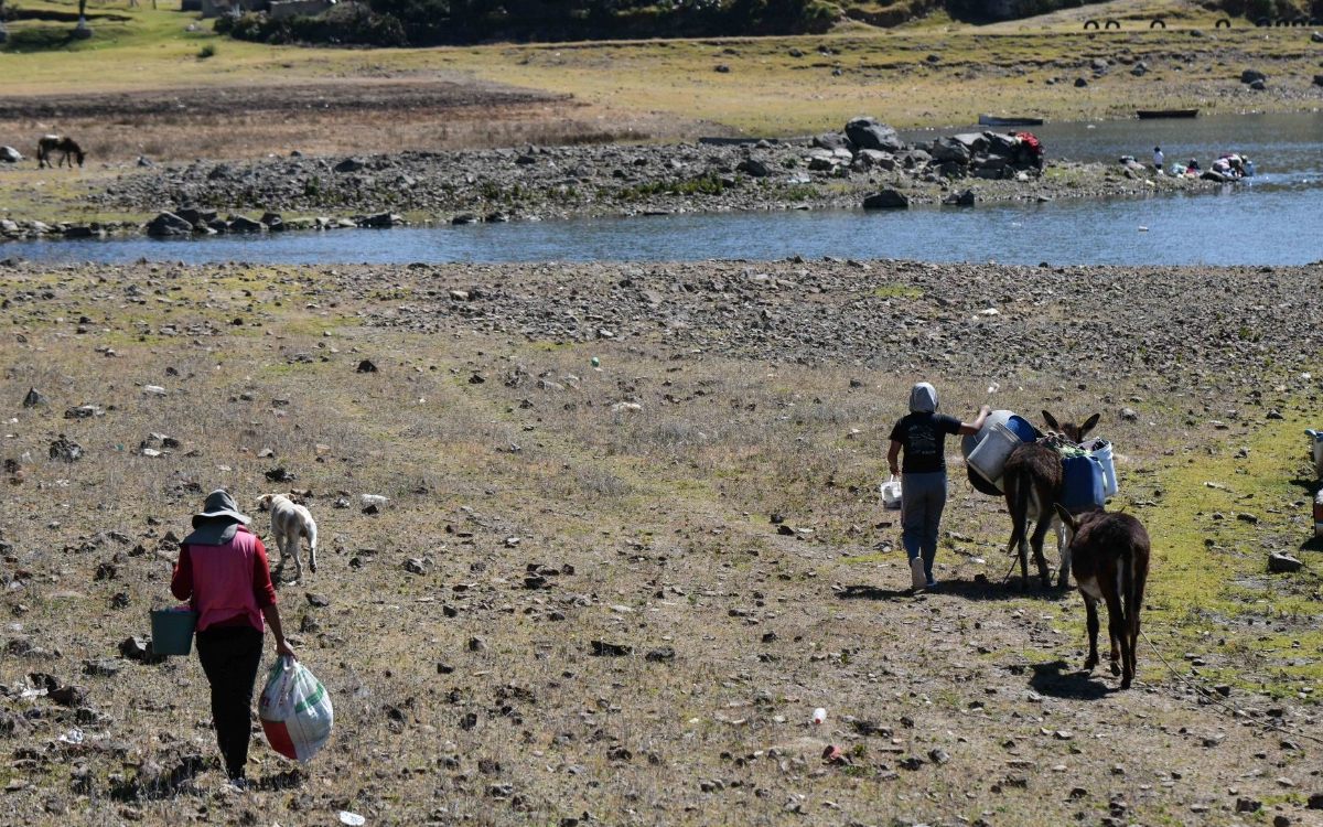 Agua: ejercer el derecho humano al agua obliga a proteger bosques y selvas | Por ABC México