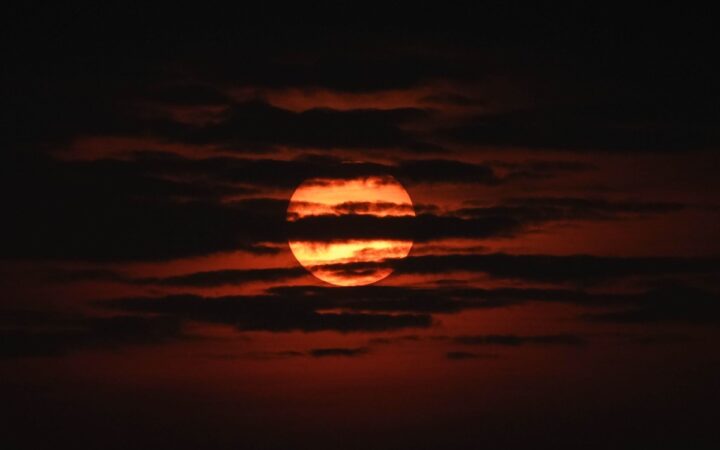 El año 2024 fue más caluroso en México desde 1880: Científicos de la UNAM