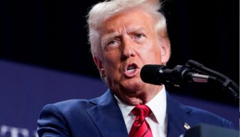 Mirador Político: Salió barato | Jorge Alcocer V.