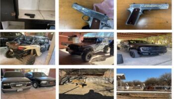 Decomisan tigre, caballos y venados en cateo en Nogales, Sonora
