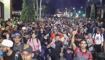 En qué consiste la plataforma Acción Migrante de la UNAM: Dr. William Lee | Video