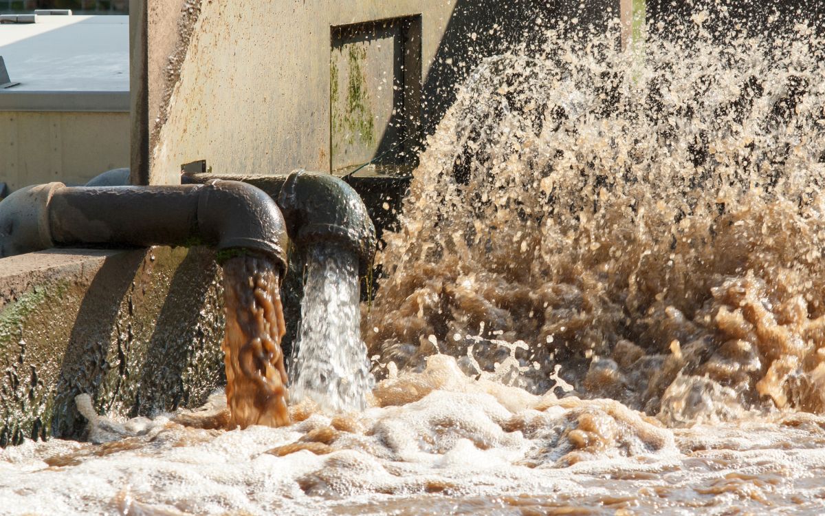 El agua como principio ético de vida | Artículo de Mario Luis Fuentes