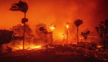 Incendios en Los Ángeles contenidos por completo después de tres semanas