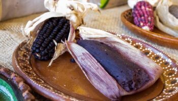 Prepárate, ya viene la tradicional Feria del Tamal, aquí te contamos los detalles