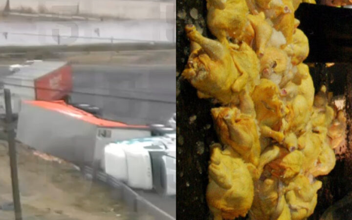 Tráiler de Bachoco vuelca en Ecatepec y se hace presente la rapiña Tráiler de Bachoco vuelca en Ecatepec y se hace presente la rapiña