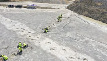 Video | Hallan 'autopista' de dinosaurios de hace 166 millones de años en Reino Unido