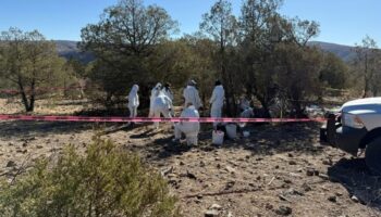 Continúan excavaciones en fosas clandestinas en 
