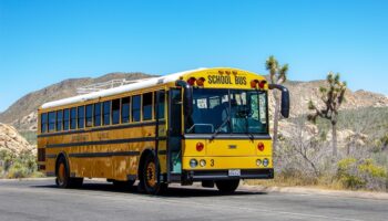 Policías tienen permiso de interrogar estudiantes en autobuses escolares de Texas
