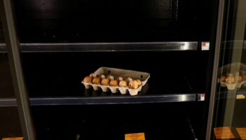 Rompe récord el precio del huevo en Estados Unidos; incrementó 53% en un año