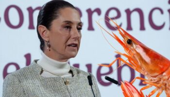 Camaroneros de Ecuador le responden a Sheinbaum: 'El mundo parece tener un gusto más refinado'