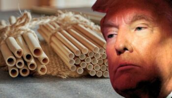 Trump ordena por decreto volver a los popotes de plástico