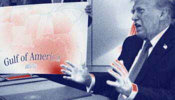 Trump sobre su veto a AP: 