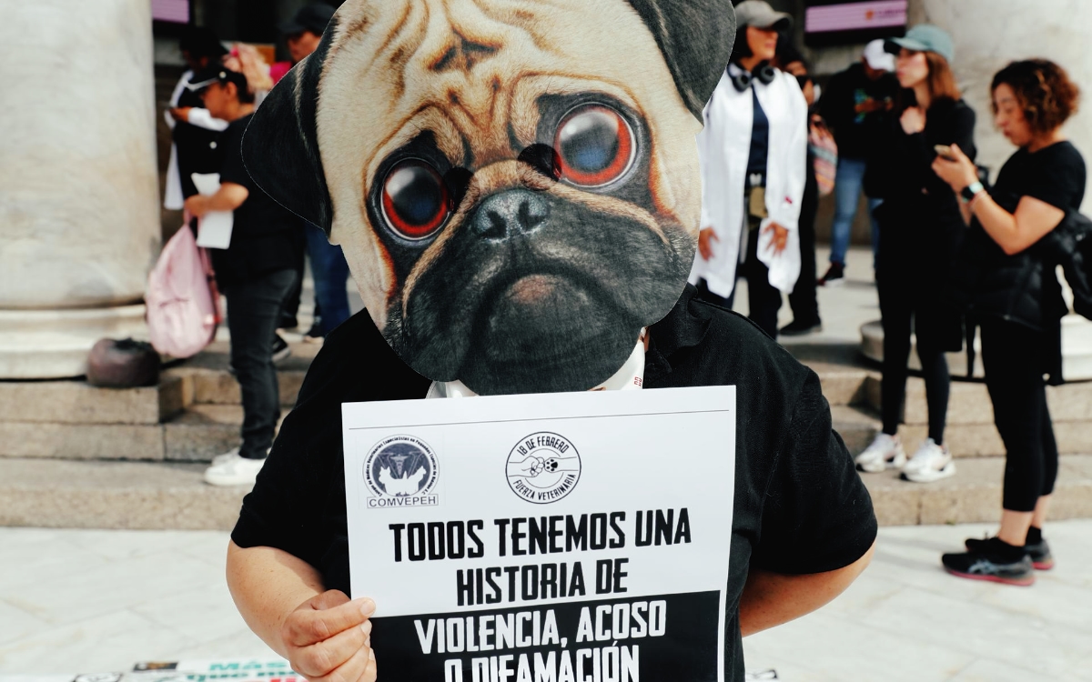 Veterinarios marchan en exigencia de seguridad tras asesinato de colega