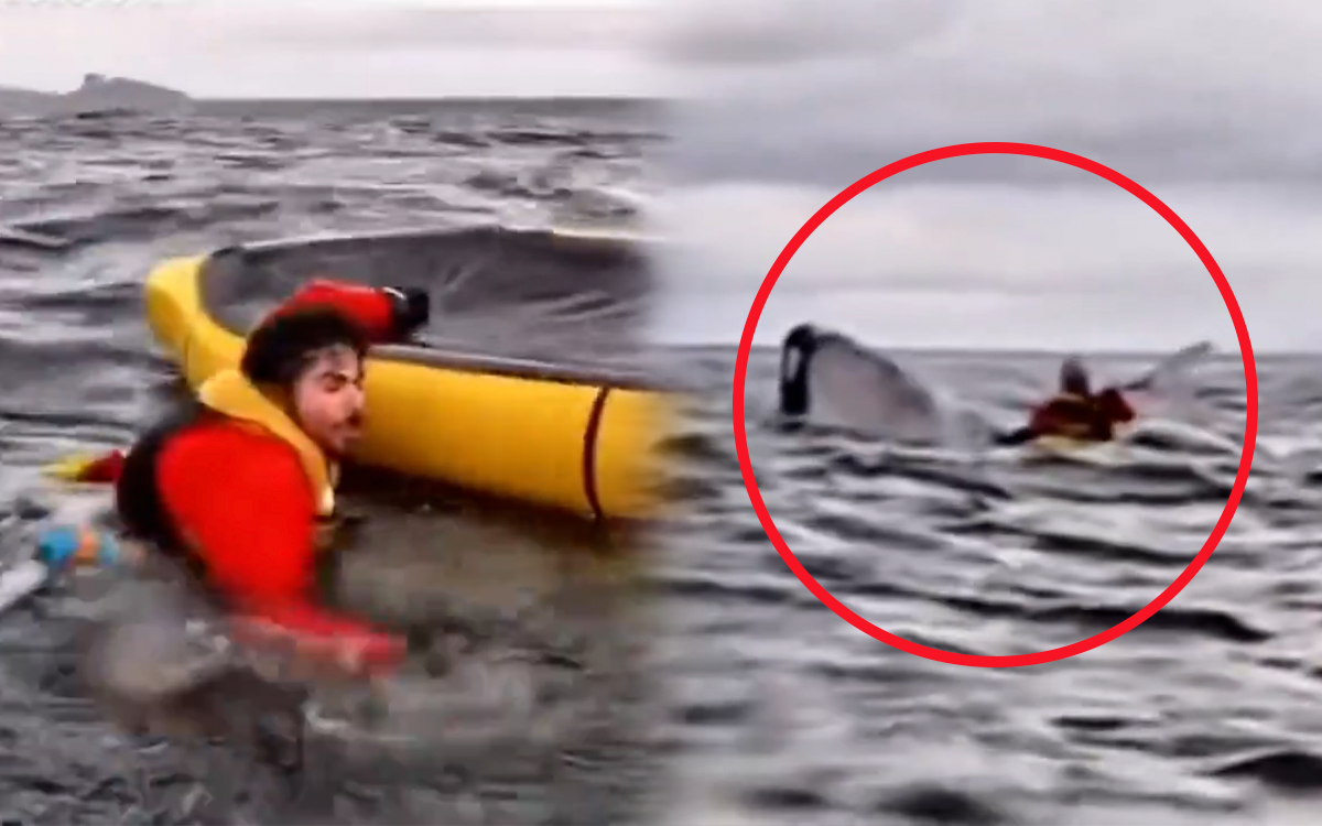 Video | Momento exacto en que ballena jorobada traga y escupe a joven en el estrecho de Magallanes