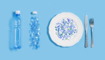 La exposición a microplásticos se asocia a una mayor prevalencia de enfermedades crónicas