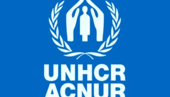 Documento | ACNUR emite declaratoria de emergencia por desplazamientos en Michoacán