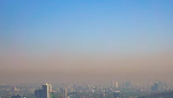 CDMX | Doble Hoy No Circula por contingencia ambiental