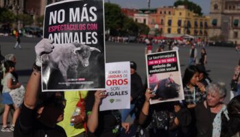 CDMX | Manifestantes pro tauromaquia y policías se enfrentan afuera del Congreso