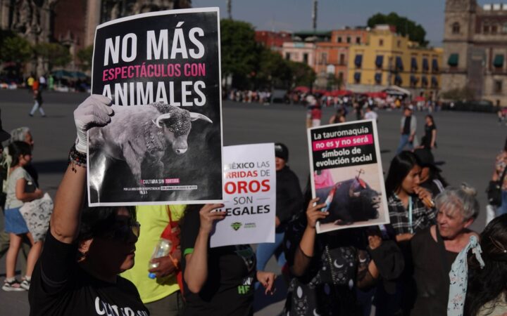 CDMX | Manifestantes pro tauromaquia y policías se enfrentan afuera del Congreso
