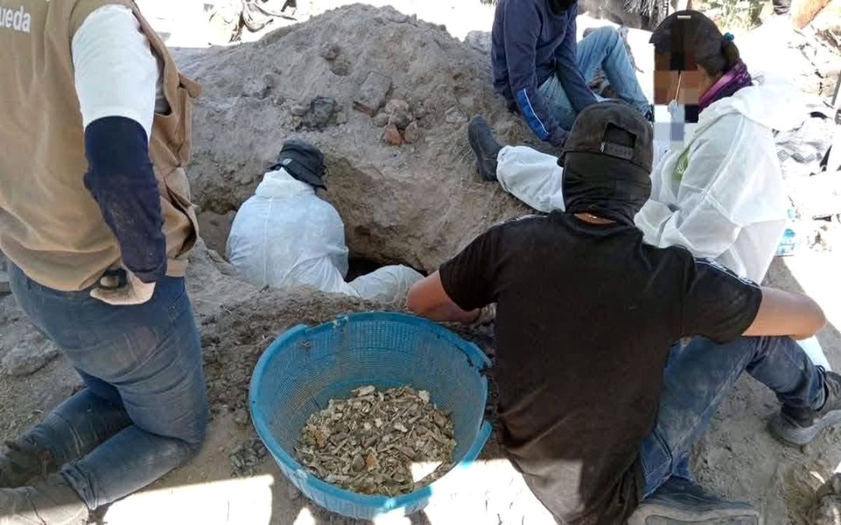 Sheinbaum sobre hallazgo de hornos clandestinos en Jalisco: ‘Es terrible’