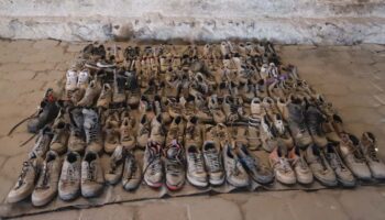 Silencio oficial sobre Teuchitlán encubrió operaciones criminales en el rancho Izaguirre: Ravelo