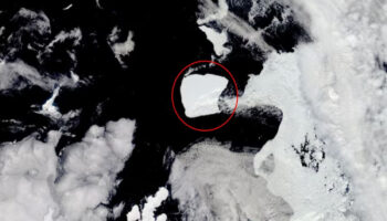 Se da el mayor iceberg del mundo un descanso en su travesía | Video