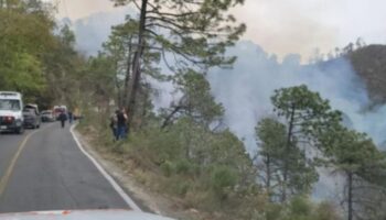 Camioneta cae a barranco y deja 12 muertos en Nuevo León