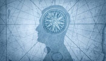 ¿Afecta a la memoria una dieta rica en grasas saturadas? Nuevo estudio ofrece claves