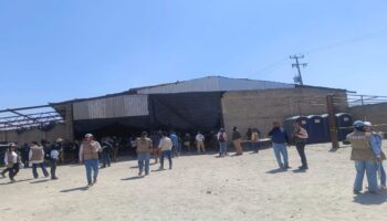 Teuchitlán | 'Nos fue mal, lejos de encontrar algo, todo estaba limpio': buscadoras