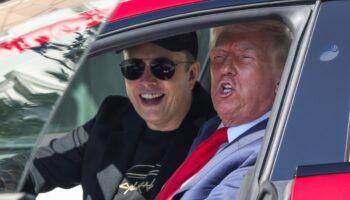 Musk se irá pronto: dice Trump a su gabinete