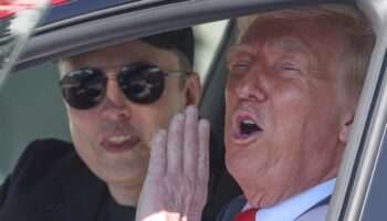 Trump: Detenidos por atacar a Tesla 'deberían ir a cárceles de El Salvador; famosas por sus agradables condiciones'