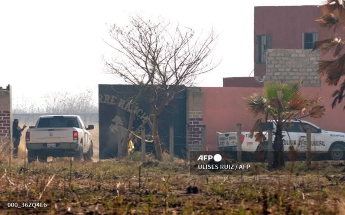 'Las autoridades saben posiblemente dónde están los centros de entrenamiento' como el de Teuchitlán: fotoperiodista AFP 'Las autoridades saben posiblemente dónde están los centros de entrenamiento' como el de Teuchitlán: fotoperiodista AFP