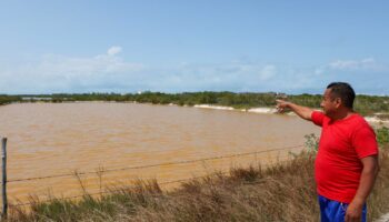 Yucatán | Campesinos denuncian que planta de agua potable pone en peligro manglares