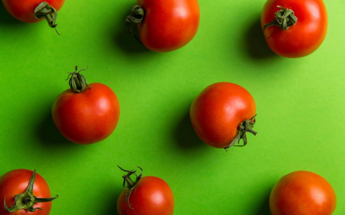 Estados Unidos impondrá aranceles al jitomate de México Estados Unidos impondrá aranceles al jitomate de México