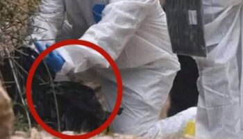 Chiapas | Encuentran a un recién nacido sin vida en un basurero de Comitán