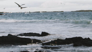 Un estudio alerta de la contaminación en fuentes de agua de tres islas de Galápagos