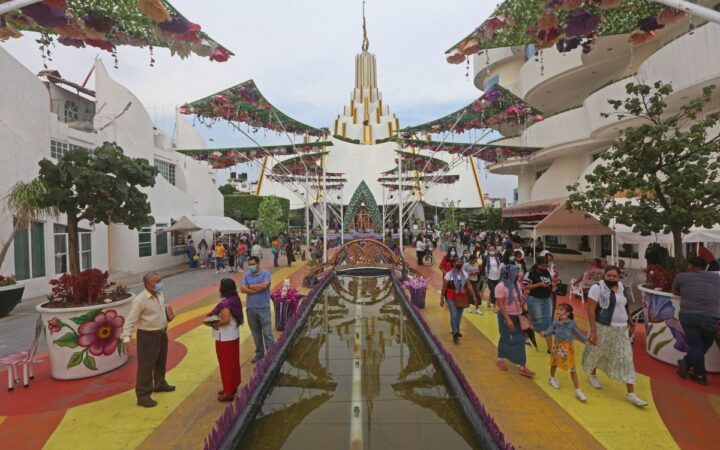 Tribunal avala candidatura a magistrado de supuesto miembro de la Iglesia de la Luz del Mundo | Video Tribunal avala candidatura a magistrado de supuesto miembro de la Iglesia de la Luz del Mundo | Video