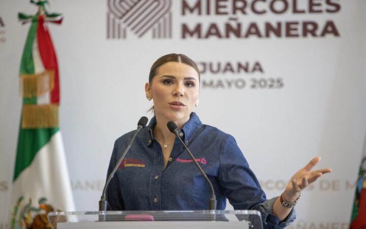 No todos los candidatos cumplen con los criterios de idoneidad en BC: Abogado | Entérate