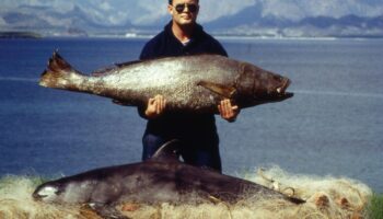 La asombrosa vaquita mexicana, una batalla contra la extinción | Pt. 2