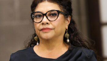 Investigan si asesinato de colaboradores fue un mensaje a Brugada: Bertha Luján