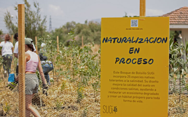 Crean primer 'Bosque de bolsillo' en Nezahualcóyotl