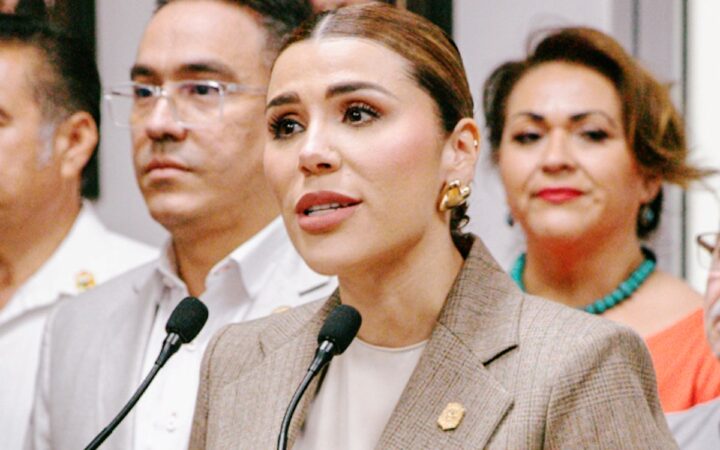 Marina del Pilar: 'No se necesita visa para gobernar'