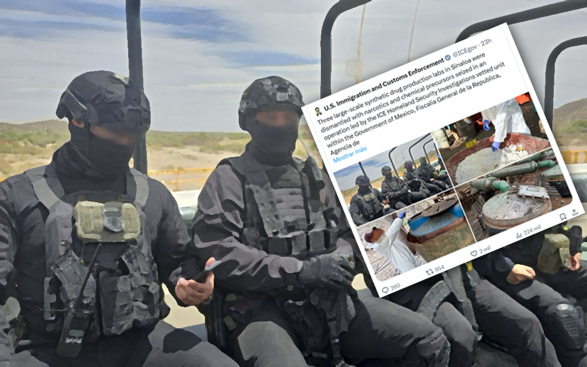 ICE se atribuyó liderazgo de operativo en México: Esquivel | Video