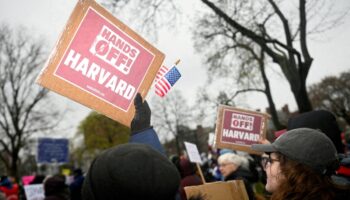 Trump da ultimátum a Harvard si quiere matricular a extranjeros; esto tiene que hacer la Universidad